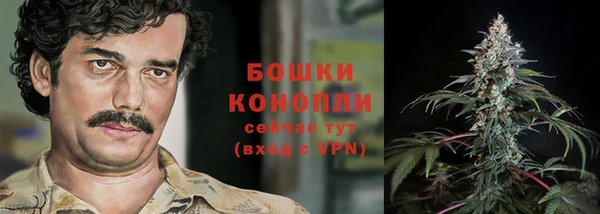 дживик Нея