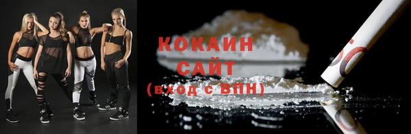 дживик Нея