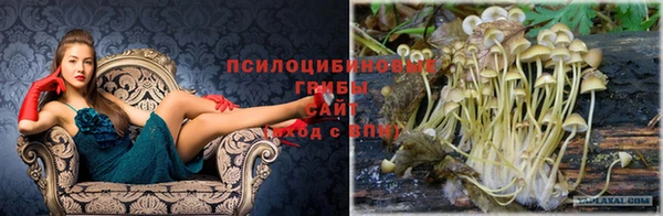 дживик Нея