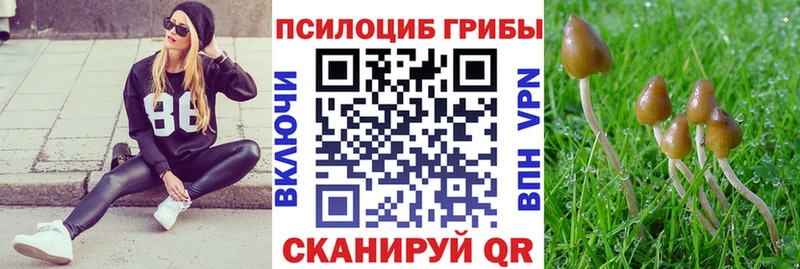 Купить  Саратов  Псилоцибиновые грибы прущие грибы 